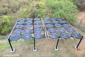 WhatsApp Image 2025 03 05 At 15.20.18